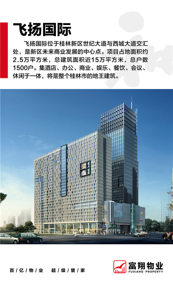 飛揚國際